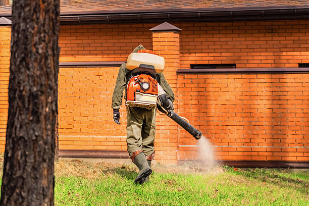 Trusted Termite Control service in Palisade, CO - Nex Pest Control